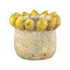 TOPF Fruitsy Gelb 21/21/18cm - Gelb, Keramik (18cm) - PTMD Collection