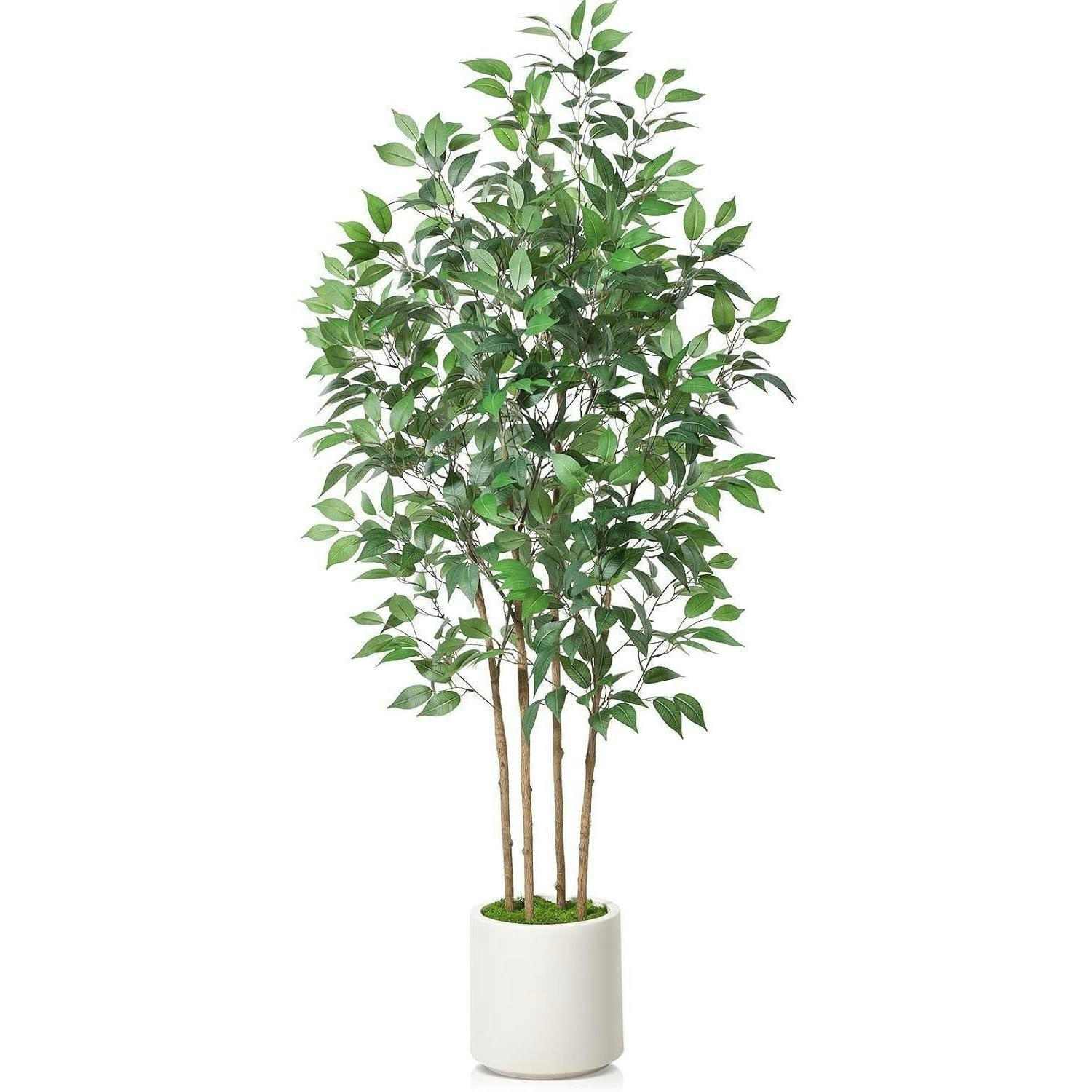 KÜNSTLICHE Pflanze Ficus 180 cm im weißen Topf - Grün, Kunststoff (182.9cm)