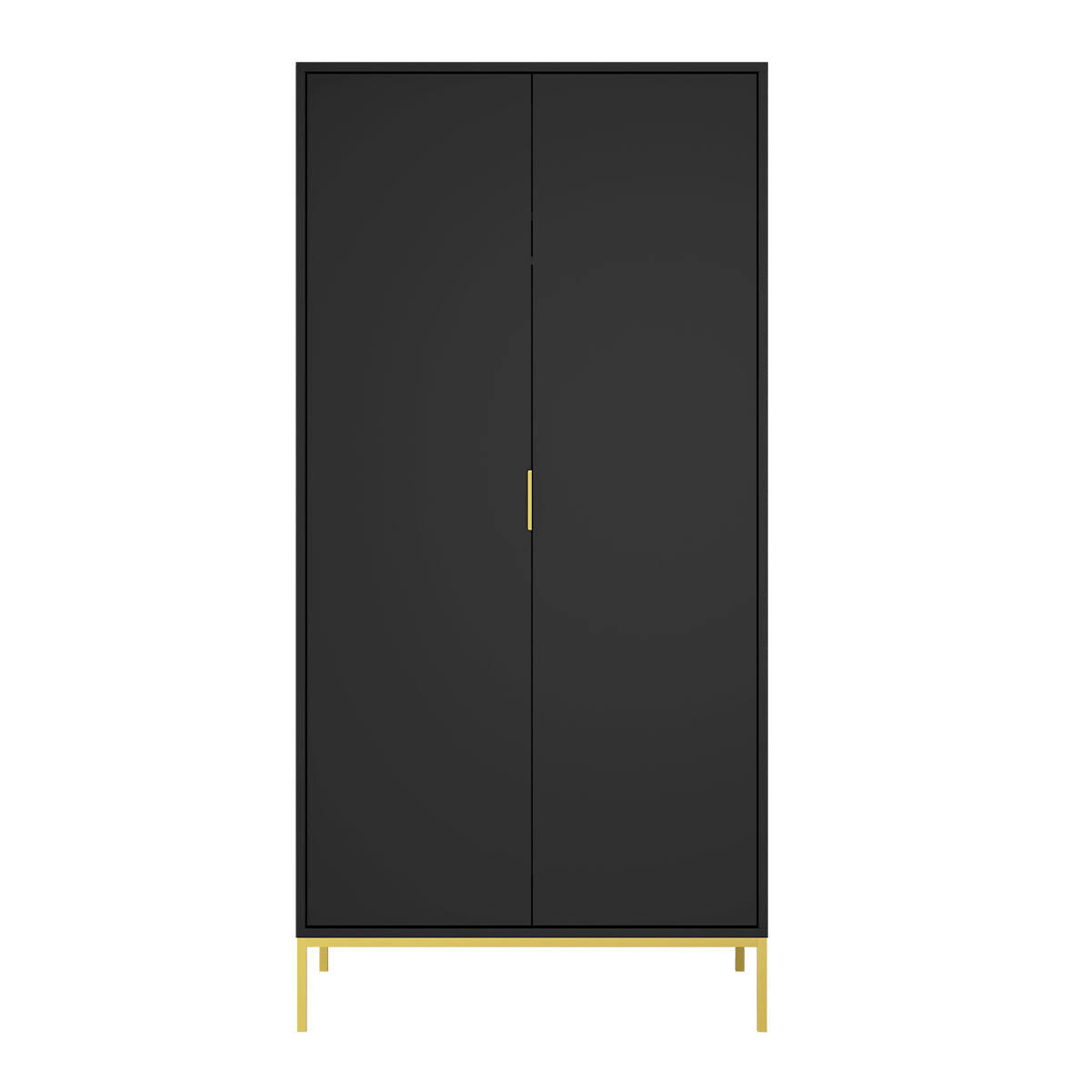 SCHRANK 2 Türen Seattle Schwarz - Schwarz, Holzwerkstoff (100/205.4/55cm) - Petits-meubles