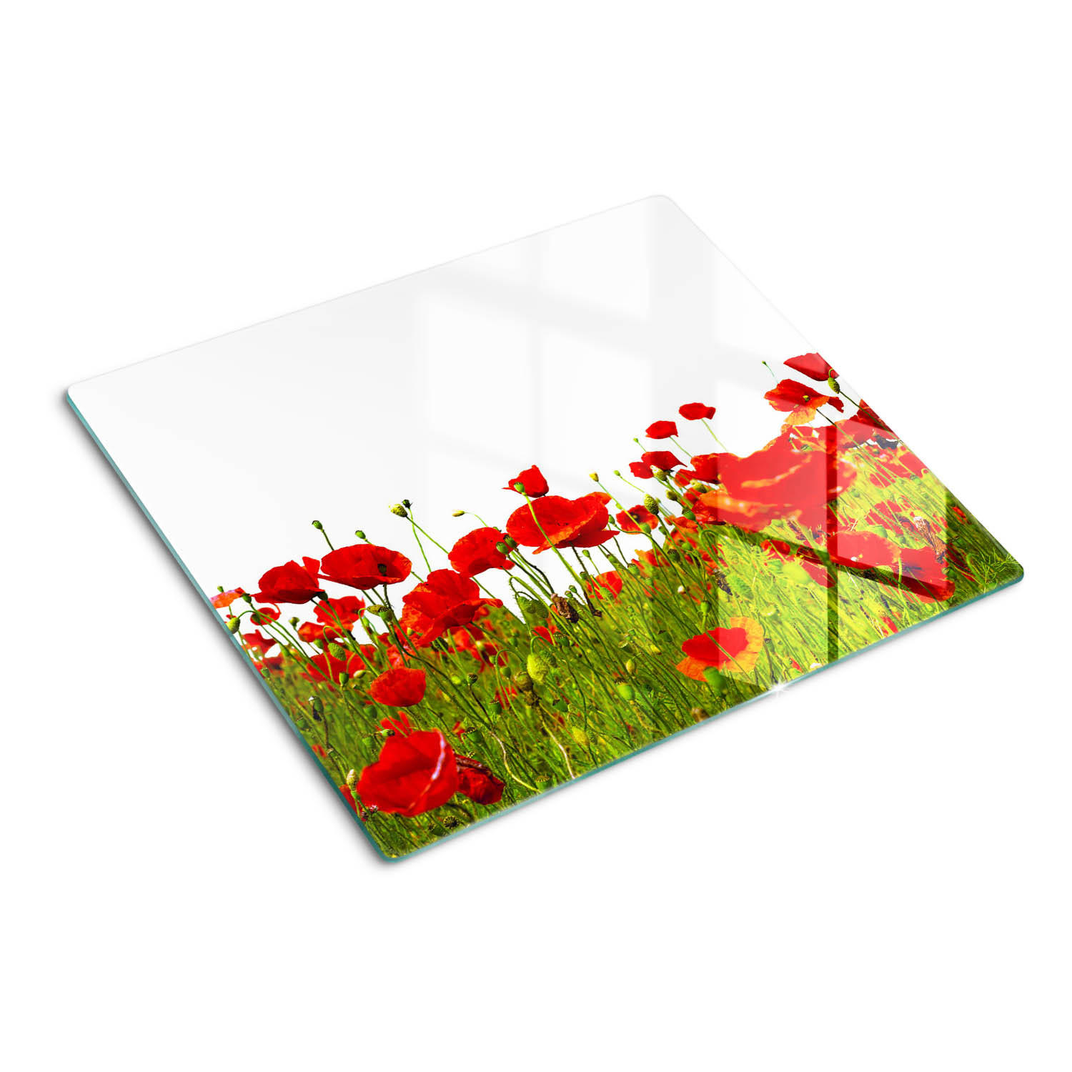GLASPLATTE 60x52 cm Feldmohn - Rot, Glas (60/0.4/52cm) - TULUP