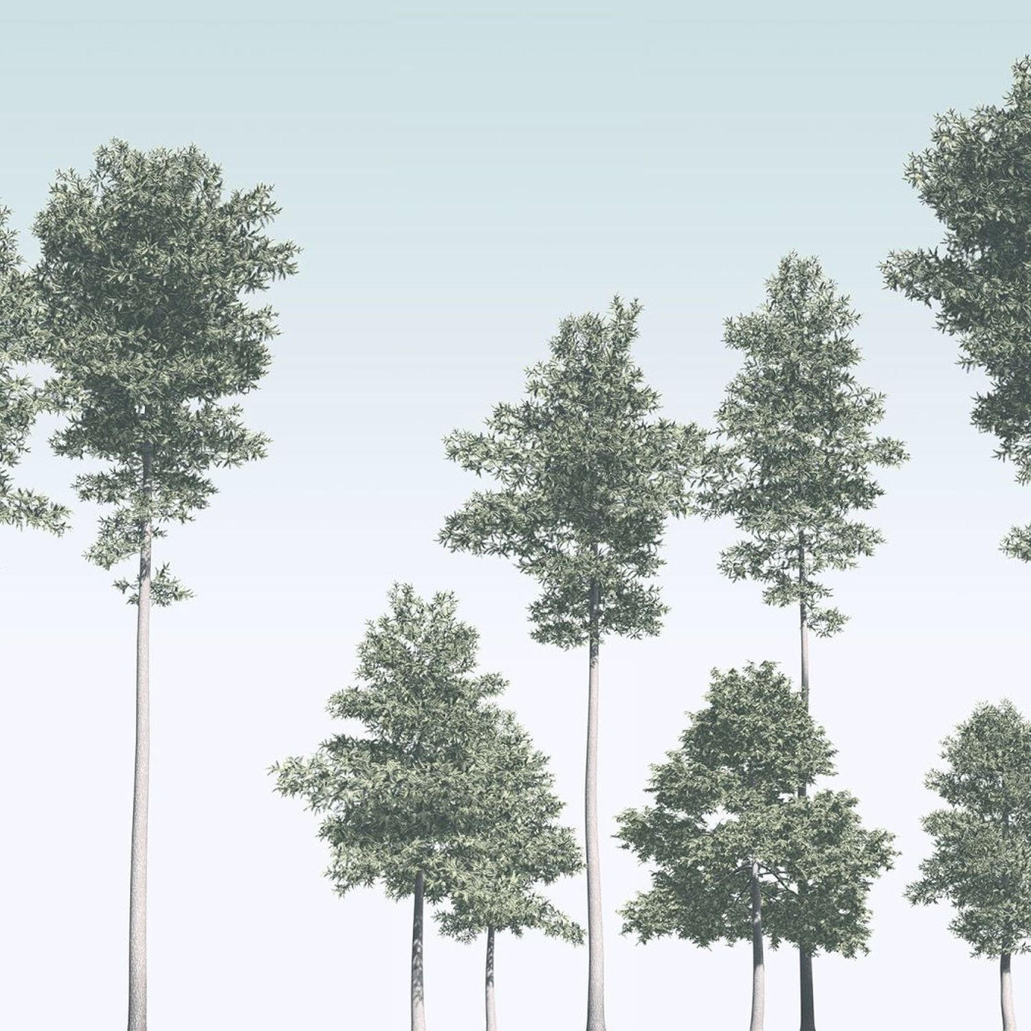 FOTOTAPETE Bäume 400 x 280 cm - Grün, Papier (400/280cm) - Sanders & Sanders