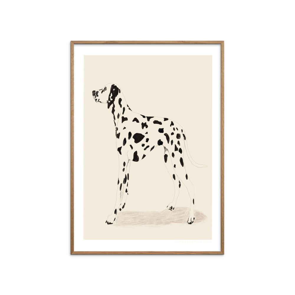 POSTER mit Rahmen Jenny Liz Rome - Dalmation - Eichefarben/Naturfarben, Holz/Papier (70/100cm) - Poster&Frame