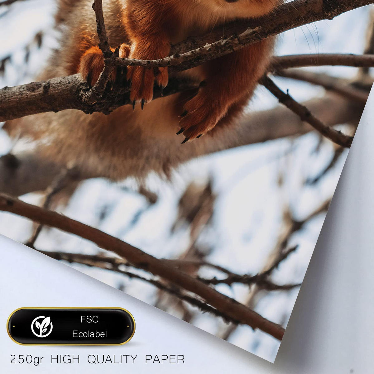 POSTER Set Mit 6 Tiere Im Schnee A3 & A4 Rahmenlos - Klar, Papier (29/3cm) - Nacnic