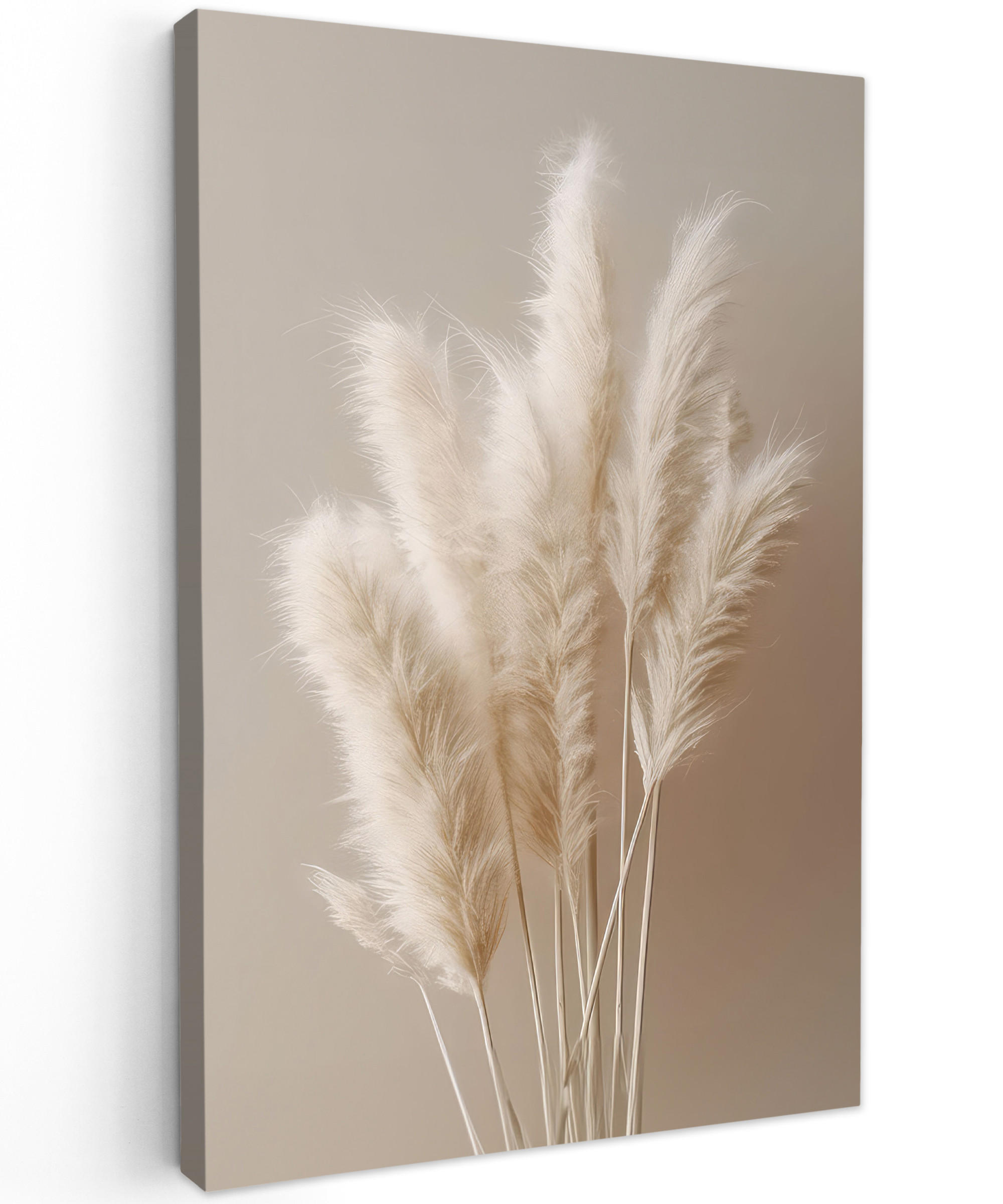 MuchoWow OBRAZ NA PLÁTNĚ Pampová tráva - Plumes - Pastelová - Bílá 80x120 cm