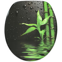 WC-SITZ mit Absenkautomatik Virella - Grün, Holzwerkstoff (38/6/47cm) - Sanilo