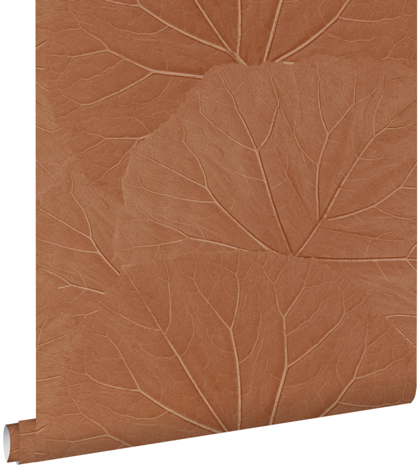 TAPETE Blätter 53 cm x 10.05 m - Terracotta, Papier (53/1000cm) - ESTAhome
