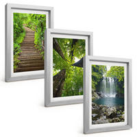BILDER SET 3er Set - 20x30 cm Silberner Rahmen - Pfad Wald Wasserfall Vegetation - Silberfarben, Kunststoff (20/30cm) - TULUP