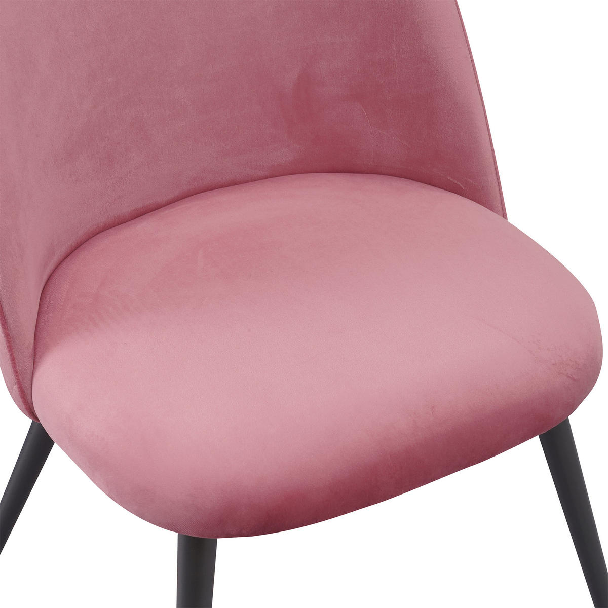 STUHL CAPO Samtbezug Metallbeine 4er Set Rosa - Rosa, Textil/Metall (53/84/44cm) - Albatros