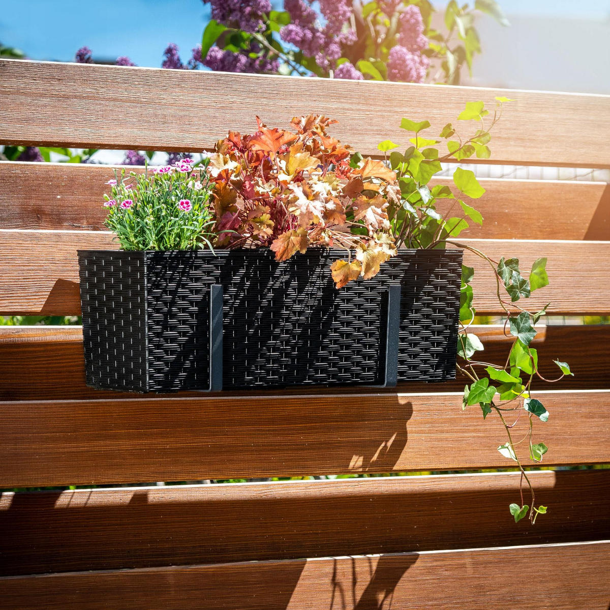 BLUMENKASTEN mit Einsatz und 2 Griffe 56 cm, Schwarz - Schwarz, Kunststoff (18/56cm) - KADAX