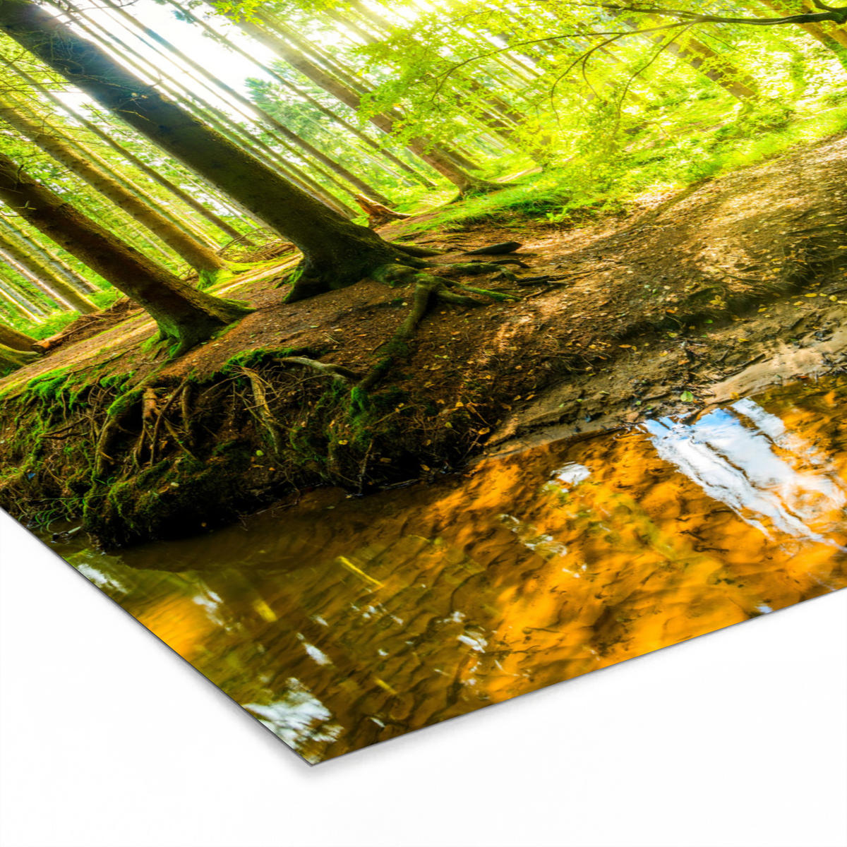 POSTER MIT RAHMENGERAHMTES BILD Wald - Landschaft - Wasser - Bäume - Sonne - Grün - Natur 40x30 cm - Grün, Papier (40/30cm) - MuchoWow
