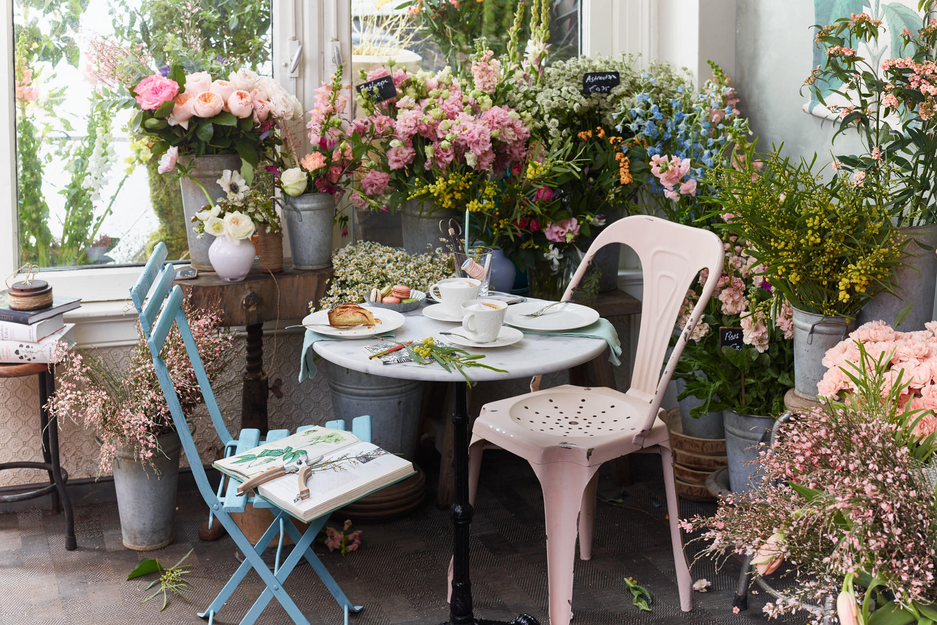 Tipps für schöne Balkonblumen und Balkonpflanzen