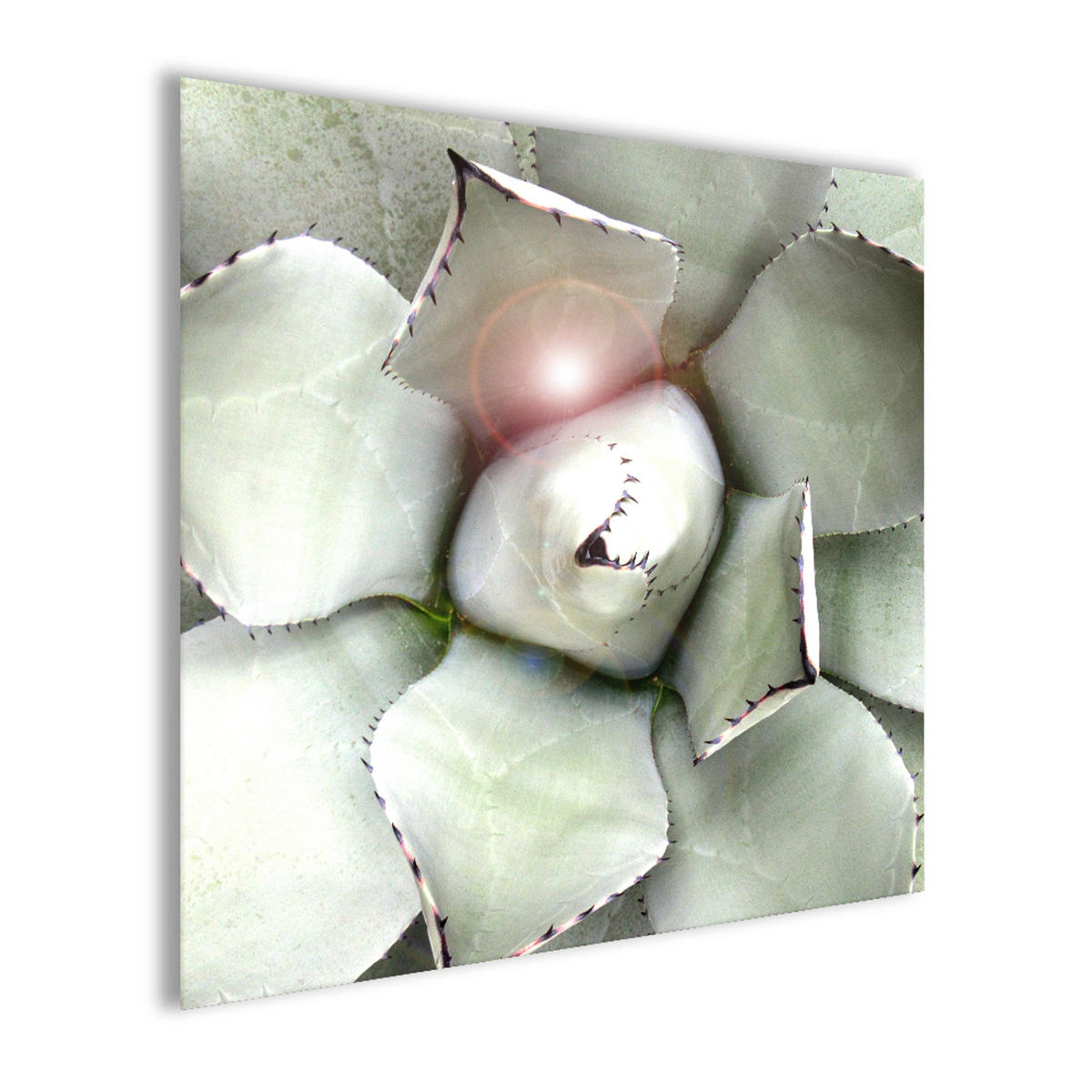 GLASBILD 30×30 cm Blatt grün - Grün, Glas (30/30cm) - artissimo