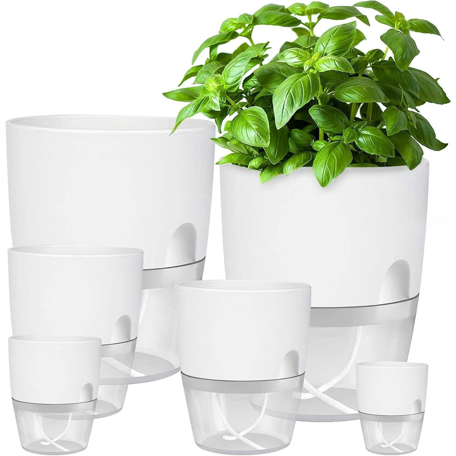 BLUMENTOPF 6er Set mit Bewässerungssystem Weiß - Weiß, Kunststoff (24/25/24cm)