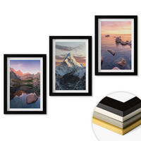 WANDBILDER 3er-Set - 20x30 cm Schwarzer Rahmen - Berglandschaften im Hintergrund - Schwarz, Kunststoff (20/30cm) - ArtPrintCave