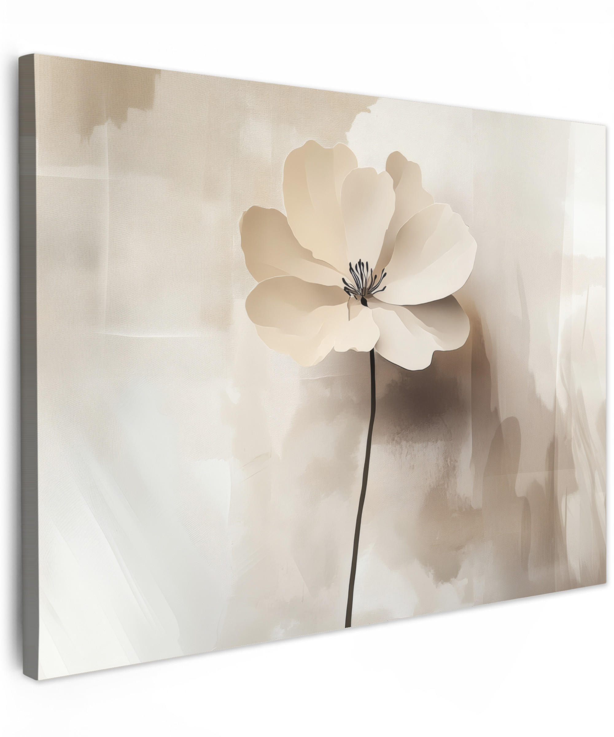 LEINWANDBILD Blume - Beige - Farbe - Schatten Wandbilder 80x60 cm - Creme, Textil (80/60cm) - MuchoWow