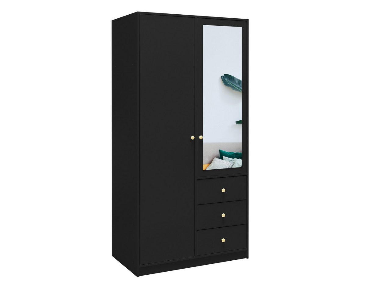 Deine Möbel 24 Drehtürenschrank Schwarz 100x200x58 cm