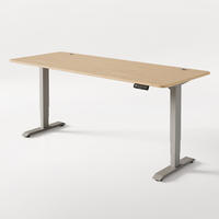 SCHREIBTISCH Elektrisch Höhenverstellbarer HomePro 200x80cm Grau/Bambus mit Memory-Funktion, Anti-Kollisions Technologie - Hellgelb/Grau, Holz (80/200/63.5cm) - Desktronic