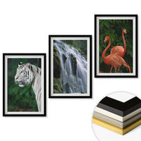WANDBILDER 3er-Set - 40x60 cm Schwarzer Rahmen - Tiger Wasserfall Flamingos Natur - Schwarz, Kunststoff (40/60cm) - ArtPrintCave