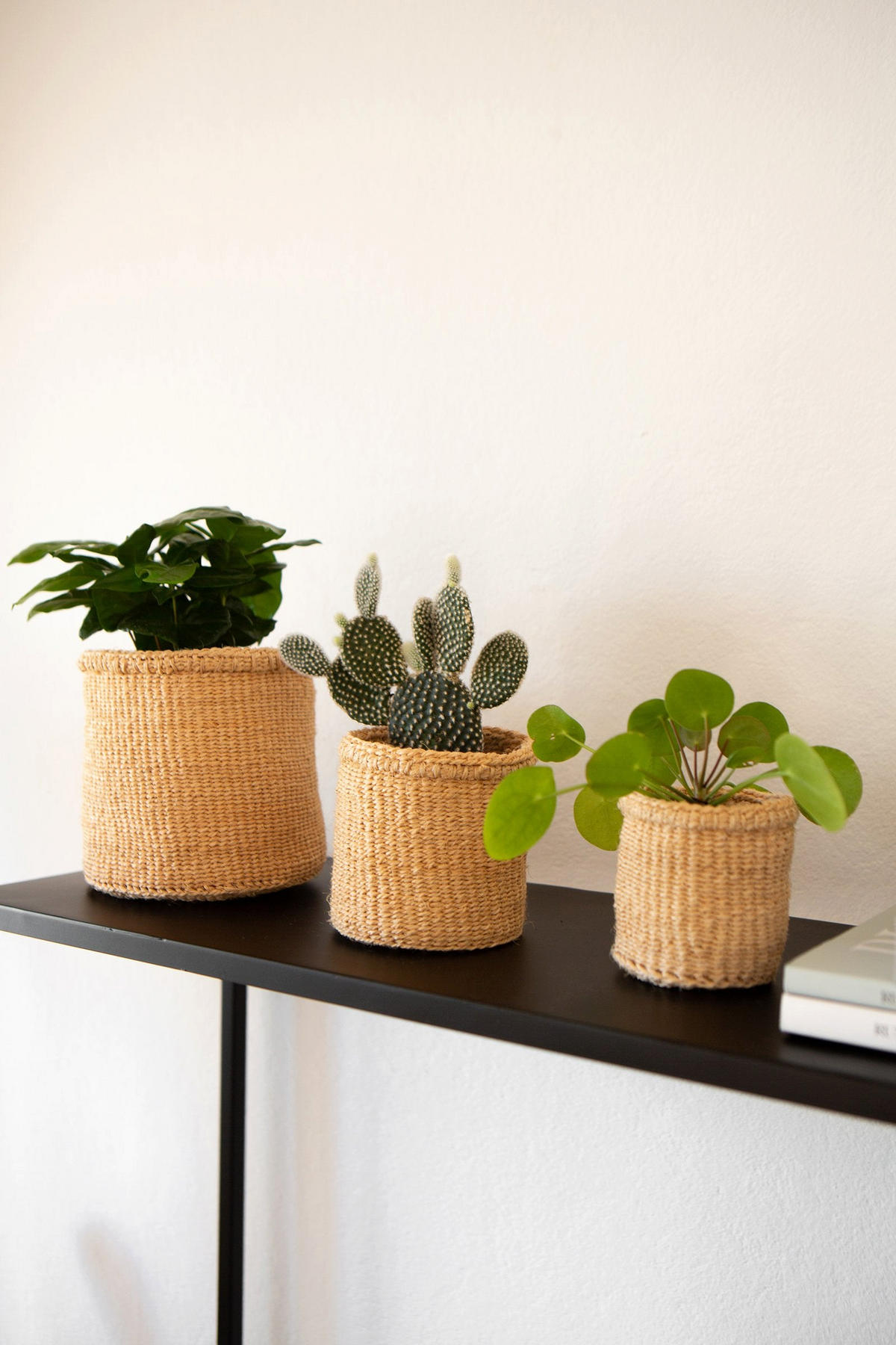 KORBSET 3-teilig Elani in Natur aus Sisal - Naturfarben, Naturmaterialien (14/14/14cm) - LaLe Living