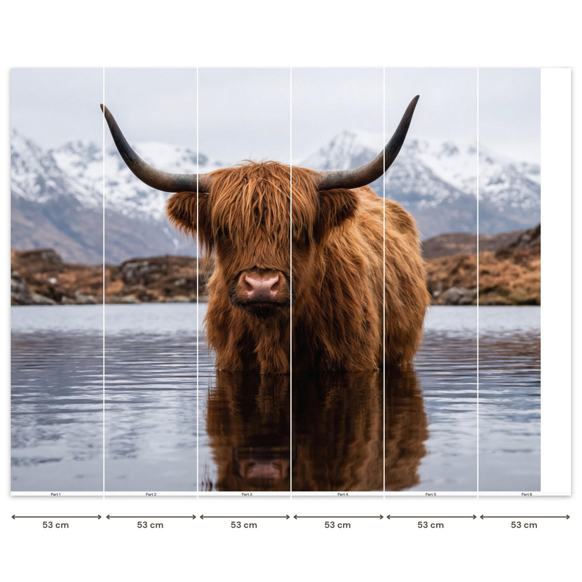 TAPETE - Schottischer Hochländer - Braun - Wasser - 300x240 cm - Braun, Papier (300/240cm) - OnlyWow