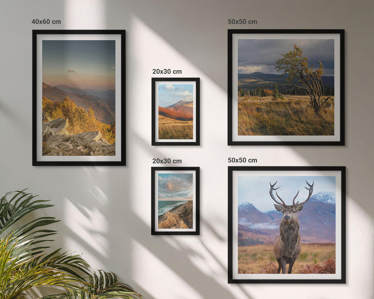 WANDBILDER 5er-Set - 50x50 cm & 20x30 cm & 40x60 cm Schwarzer Rahmen - Berglandschaften, Hirschgras - Schwarz, Kunststoff (40/60cm) - ArtPrintCave
