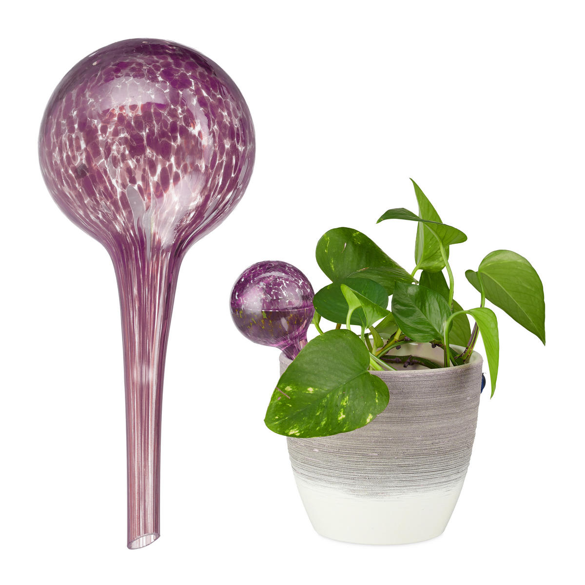 2XBEWÄSSERUNGSKUGEL - Lila, Glas (6/15/6cm) - Relaxdays