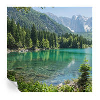 FOTOTAPETE 250x250 cm - Grüner See - Grün, Textil (250/250cm) - Wallfluent