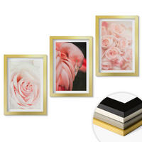 WANDBILDER 3er Set - 20x30 cm Goldrahmen - Zartrosa Flamingos - Goldfarben, Kunststoff (20/30cm) - ArtPrintCave