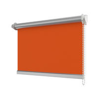 SEITENZUGROLLO / THERMOROLLO SZ3 71x215 cm, Orange (3012) Verdunkelung - Orange, Textil (71/215/6.5cm) - INTERDECO