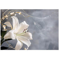 FOTOTAPETE Blumen Blätter Wohnzimmer Vlies Tapete 200x140 - Multicolor, Papier (200/140cm) - Wallarena