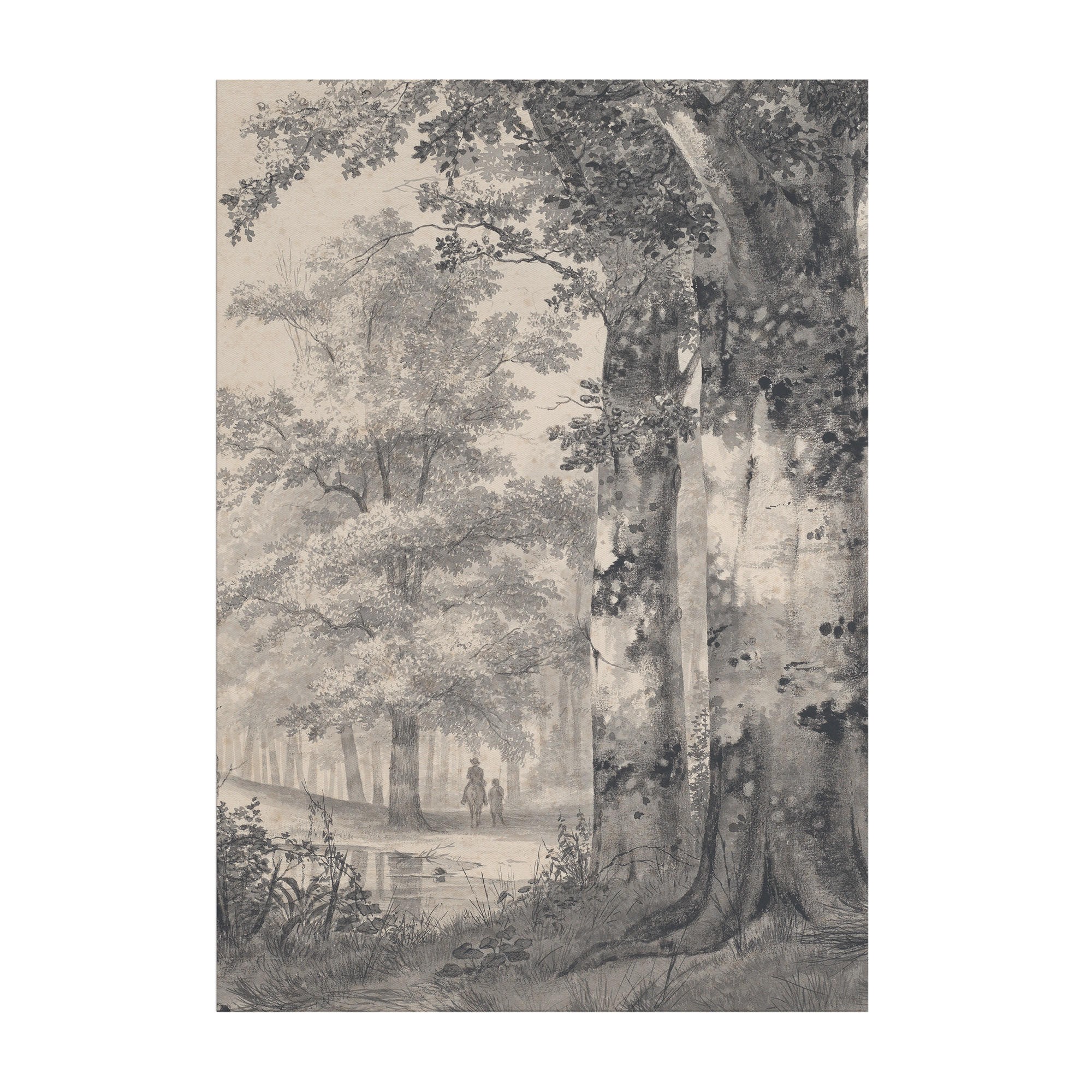 LEINWANDBILD Waldspaziergang 70x50cm - Grau, Textil (70/1cm) - Art for the Home