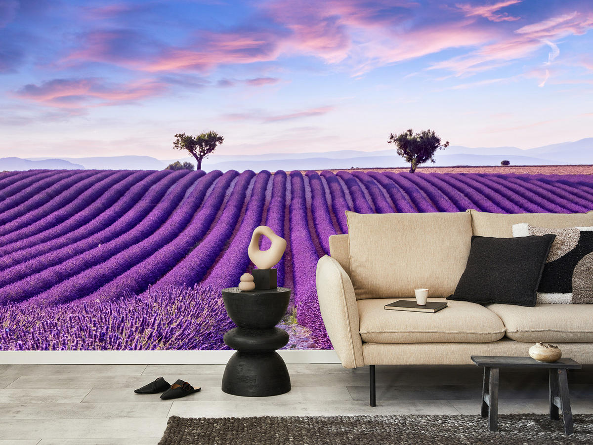 FOTOTAPETE für Küche Lavendelfeld Lila Natur Sträucher 500x350 - Blau/Violett, Papier (500/350cm) - Muralo