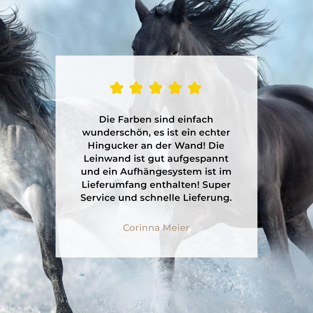 LEINWANDBILD Pferde - Winter - Tiere - Natur - Schnee 80x120 cm - Anthrazit, Textil (80/120cm) - MuchoWow