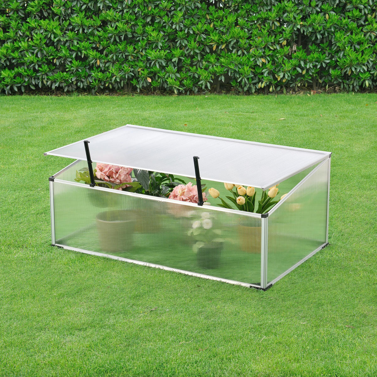 FRÜHBEET Horta - Transparent, Kunststoff (100/40/60cm) - [en.casa]