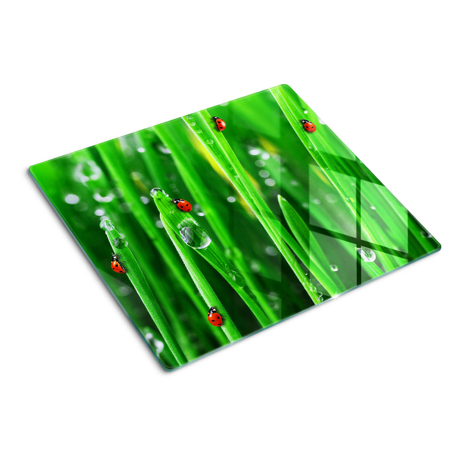 GLASPLATTE 60x52 cm Marienkäfergras - Grün, Glas (60/0.4/52cm) - TULUP