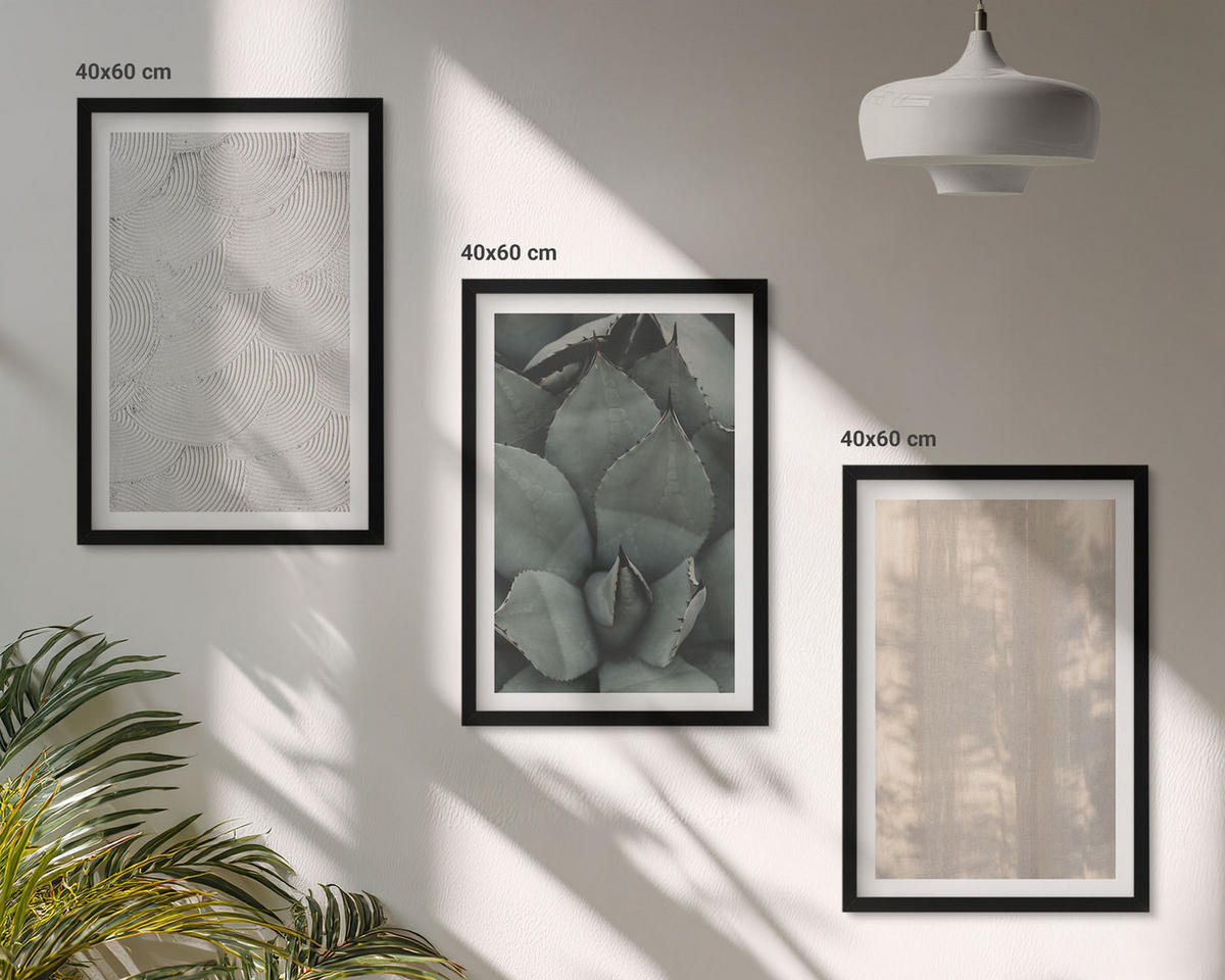 BILDER SET 3er Set - 40x60 cm Schwarzer Rahmen - Sommerliche tropische Texturen - Schwarz, Kunststoff (40/60cm) - TULUP