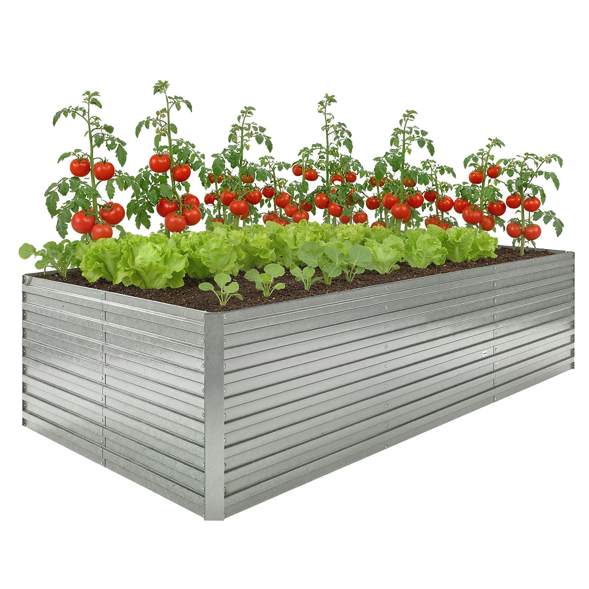 HOCHBEET DE-12303 e/tra tief 240/120/60 cm mit offenem Boden Silber - Grau, Metall (240/60/120cm) - ComfortXL