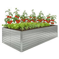 HOCHBEET DE-12303 e/tra tief 240/120/60 cm mit offenem Boden Silber - Grau, Metall (240/60/120cm) - ComfortXL