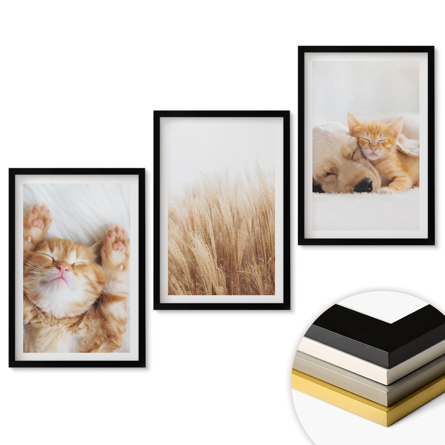 ArtPrintCave Wandbilder Schwarz 40x60 cm