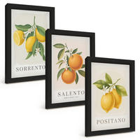 BILDER SET 3er Set - 20x30 cm Schwarzer Rahmen - Amalfi-Zitronen und -Orangen - Schwarz, Kunststoff (20/30cm) - TULUP
