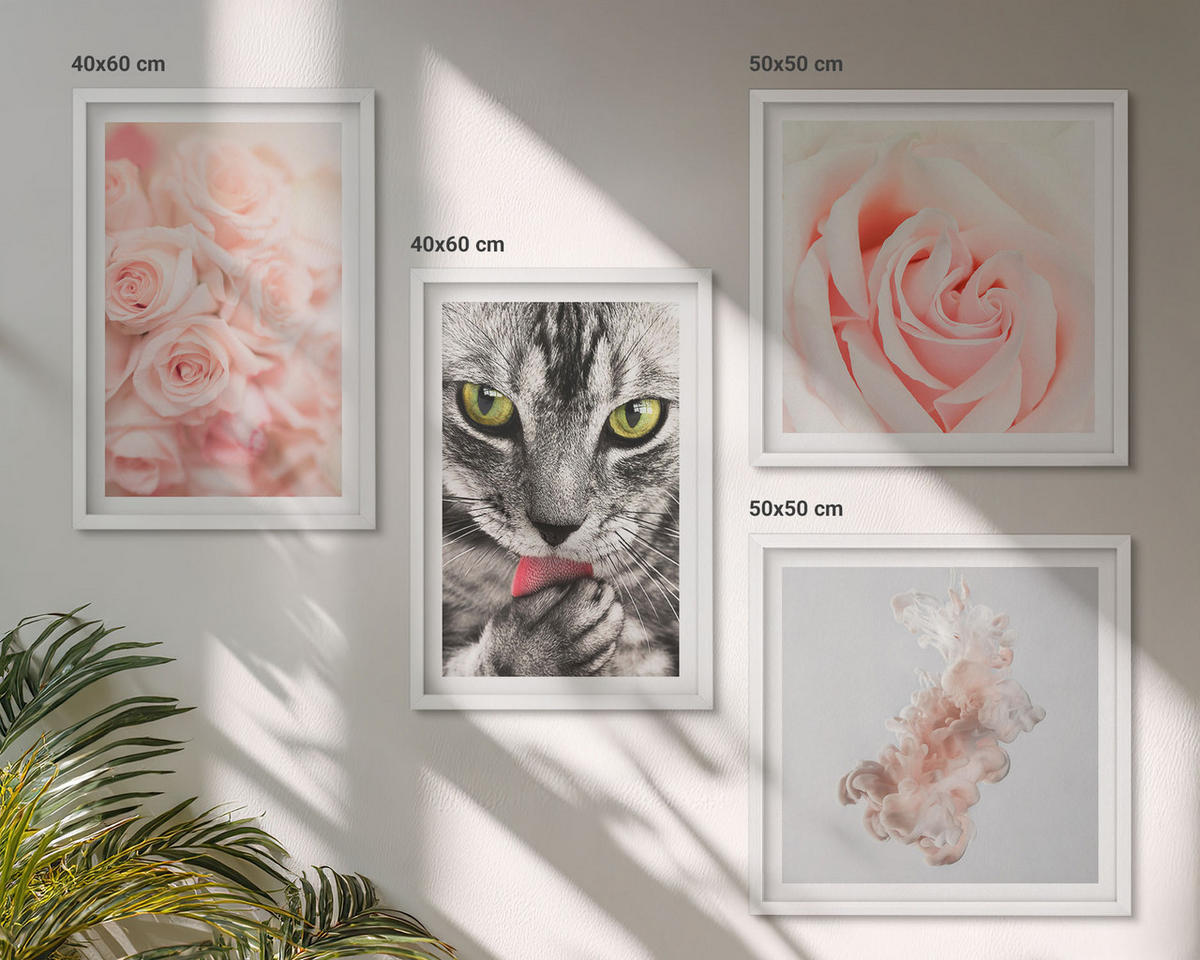 WANDBILDER 4er-Set - 50x50 cm & 40x60 cm Weißer Rahmen - Abstrakte Darstellung von grauen Katzenrosen - Weiß, Kunststoff (50/50cm) - ArtPrintCave