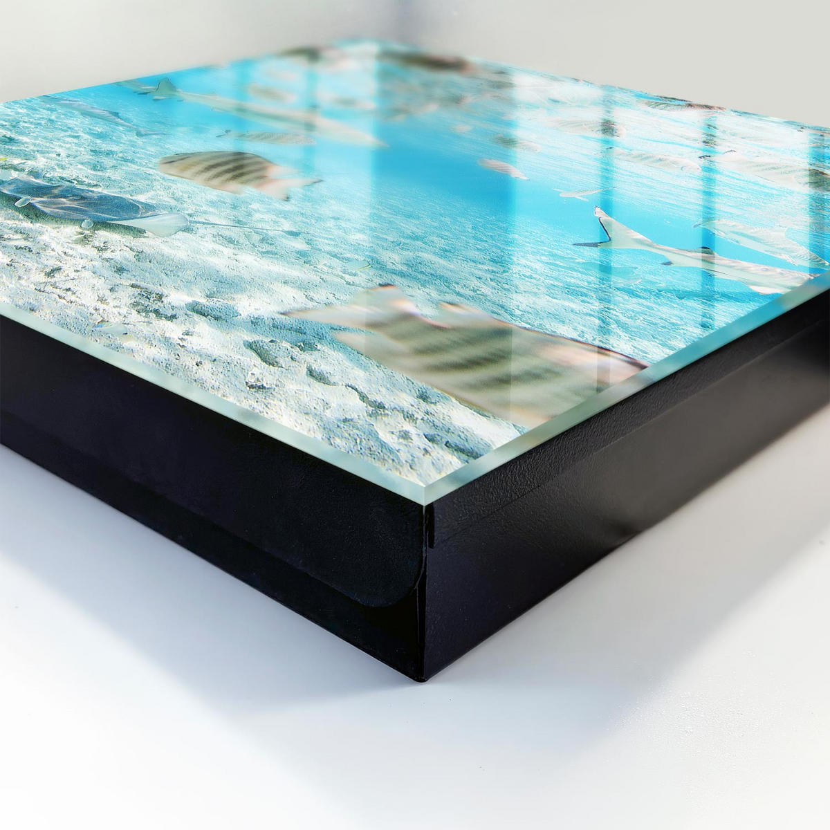 SCHLÜSSELBOX Schwarz 30x30 cm- Türöffnung nach rechts - Wasserleben - Türkis, Metall (30/30/5cm) - TULUP