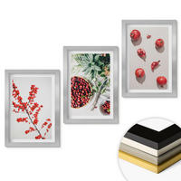 WANDBILDER 3er Set - 20x30 cm Silberner Rahmen - Minimalismus der roten Früchte von Pflanzen - Silberfarben, Kunststoff (20/30cm) - ArtPrintCave