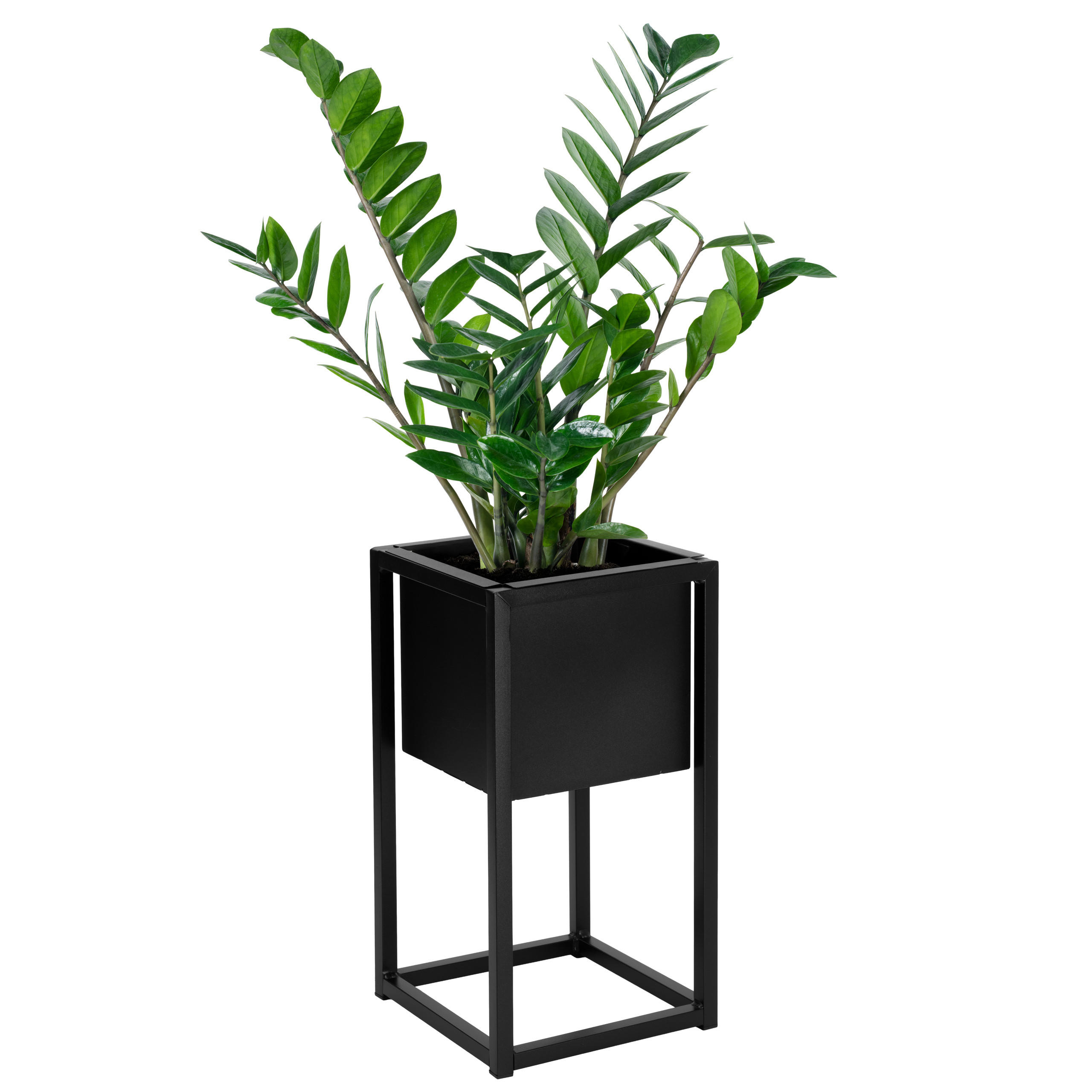 BLUMENSTÄNDER Schwarz 40 cm - Schwarz, Metall (21.5/21.5/41cm) - Mat-Haus
