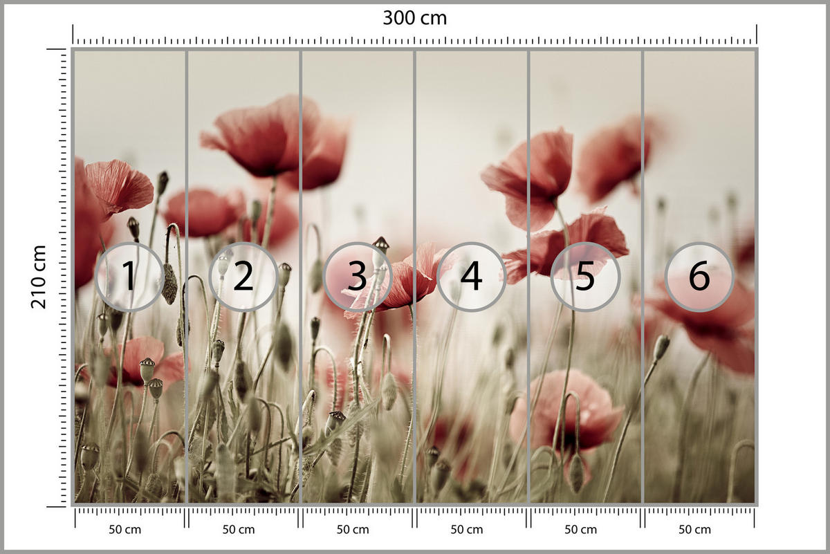 FOTOTAPETE für Wohnzimmer Zarte Mohn Blumen Wiese Rot 300x210 - Beige/Rot, Papier (300/210cm) - Muralo