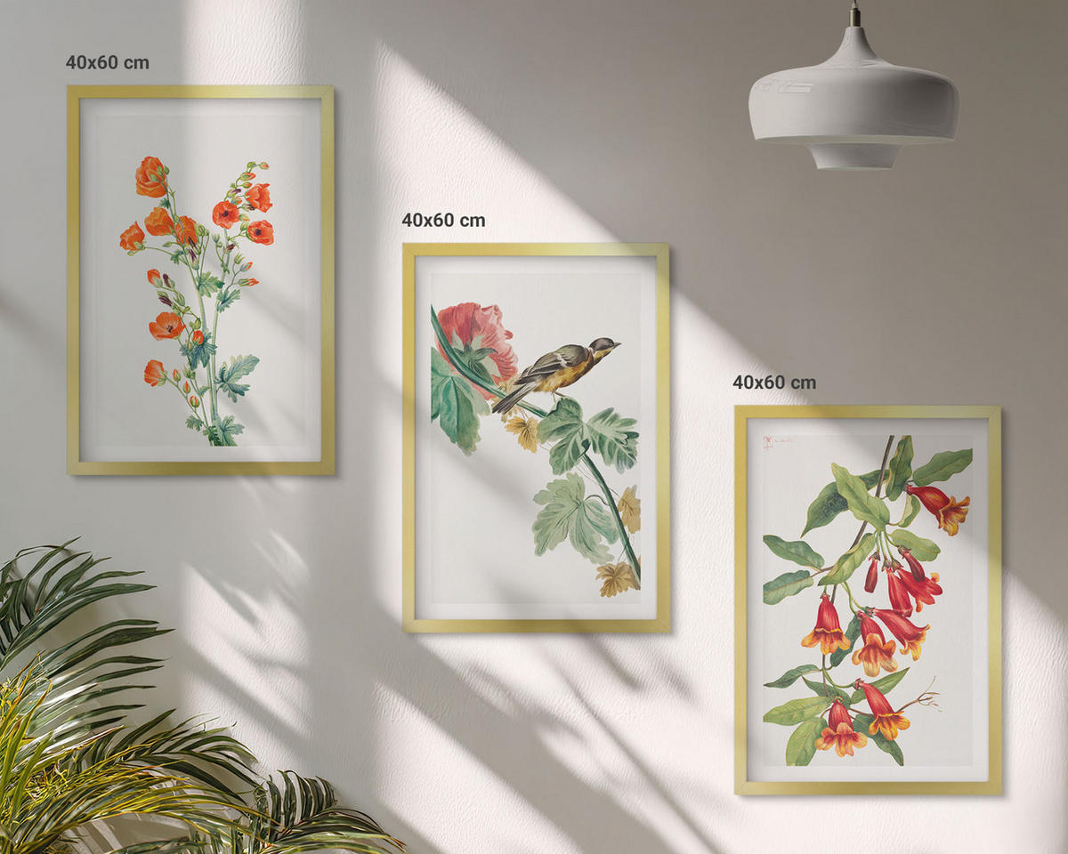 WANDBILDER 3er Set - 40x60 cm Goldrahmen - Gemalte Blumen und ein Vogel - Goldfarben, Kunststoff (40/60cm) - ArtPrintCave
