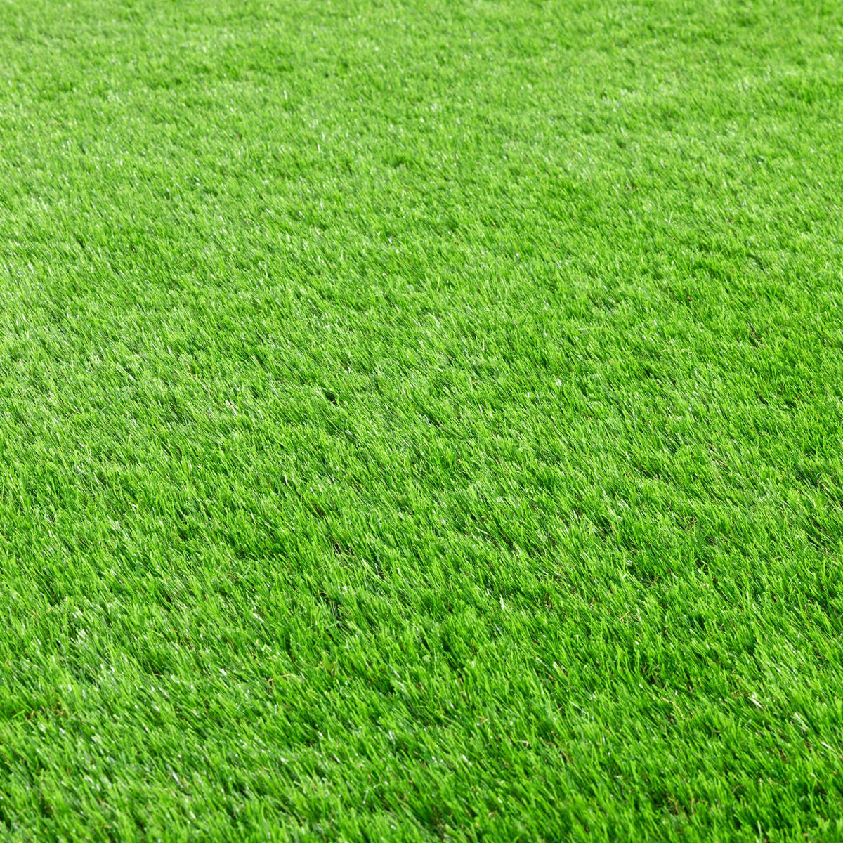 RASENTEPPICH Grün 100/100 cm Ireland - Grün, Kunststoff (100/350cm) - Steffensmeier