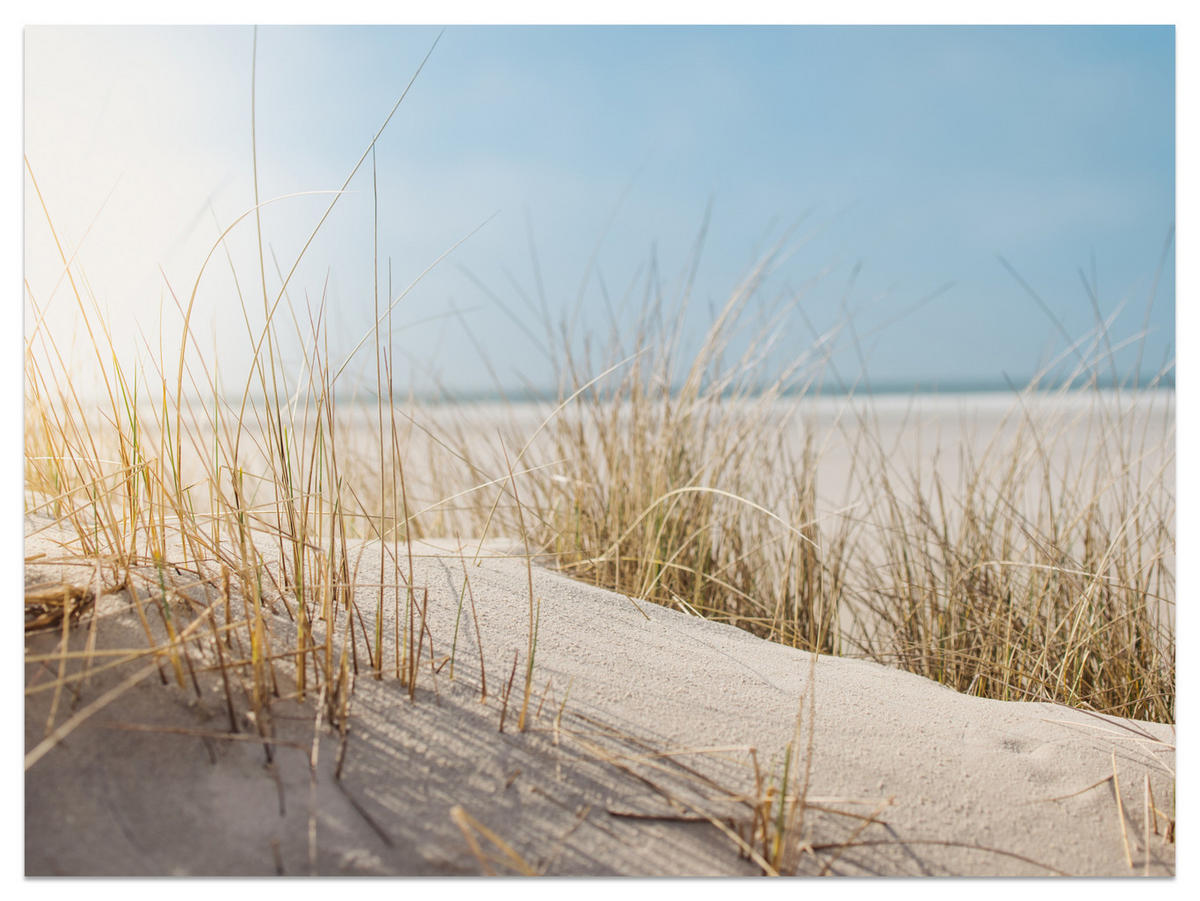 FOTOTAPETA Pre Spálňu Duny Piesočná Pláž Tráva Výhľad Na More 300 x 210 cm - modrá/žltá, papier (300/210cm) - Muralo