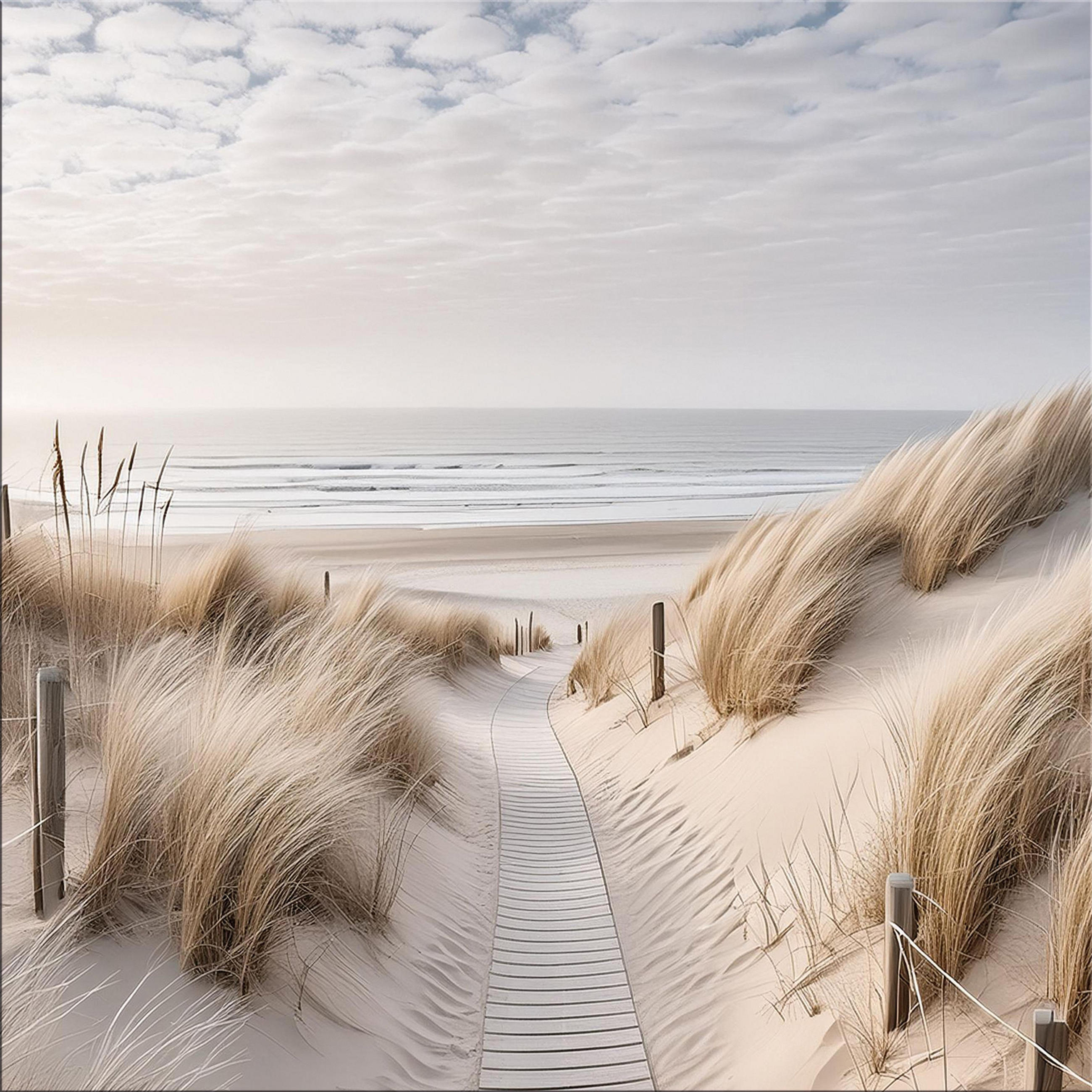 GLASBILD 50x50 cm Strand und Meer - Beige, Glas (50/50cm) - artissimo