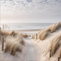 GLASBILD 50x50 cm Strand und Meer - Beige, Glas (50/50cm) - artissimo